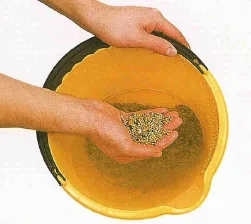 como-montar-un-acuario-plantado-paso-a-paso-lavar-sustrato Paso 1 para montar un acuario plantado: lavar la grava en un cubo