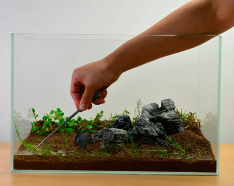 como-montar-un-acuario-plantado-plantas-de-acuario Hombre plantando un acuario: cómo montar un acuario plantado paso a paso