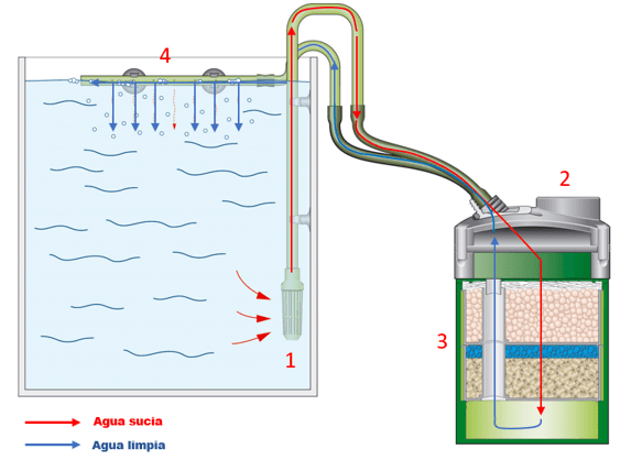 Tipos de filtros para acuarios de agua dulce. Esquema funcionamiento filtro acuario.