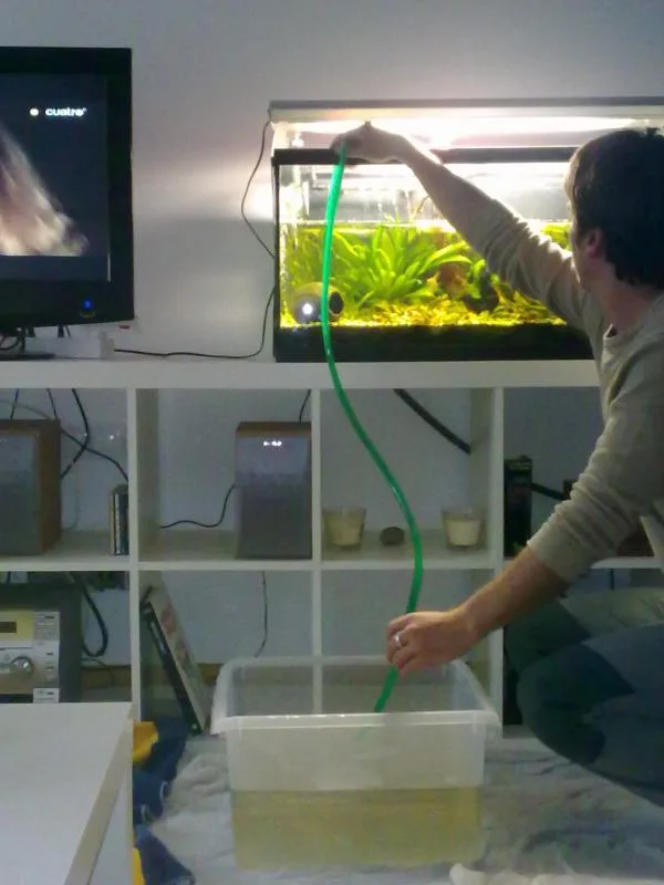 como-cambiar-agua-acuario Como cambiar el agua del acuario facil