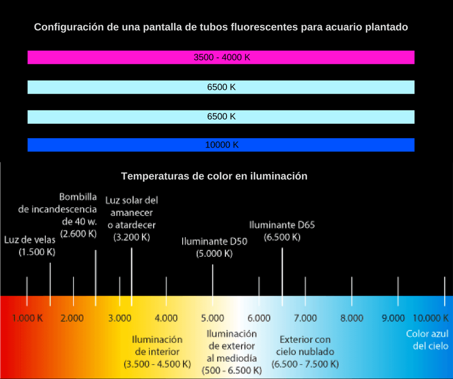 Configuración de una pantalla de fluorescentes para acuario plantado según temperaturas de color