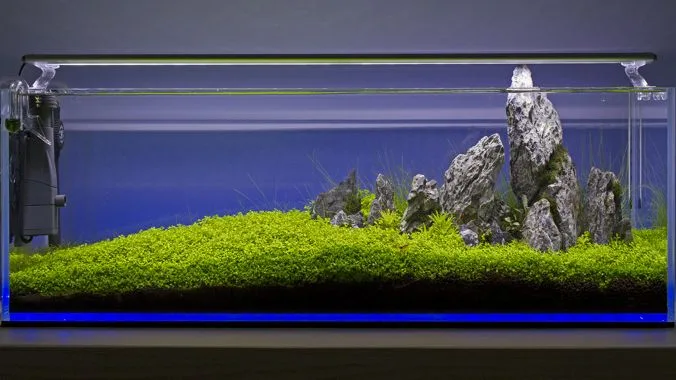 iluminacion acuario plantado