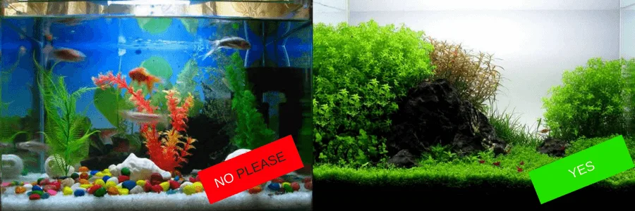 Cómo no hacer un acuario plantado.