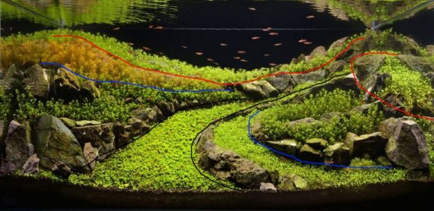 Cómo decorar un acuario plantado según el Aquascaping: 7 TRUCOS