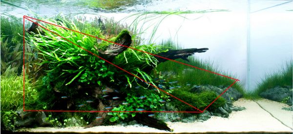 Como decorar un acuario con estilo de triángulo según el aquascaping. Por Acuarema: blog de acuarios plantados.