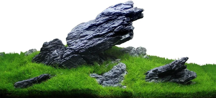 Acuario plantado iwagumi. Estilo creado por Takashi Amano.
