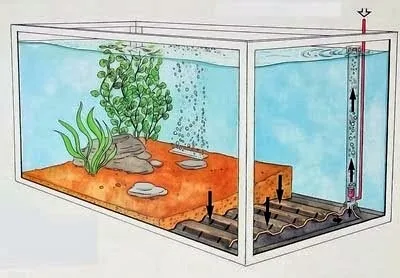 Filtro de fondo: filtro acuario