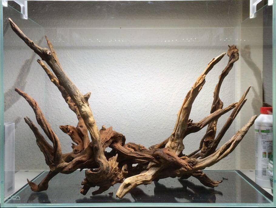 Horn wood o madera de cuerno: tronco acuario