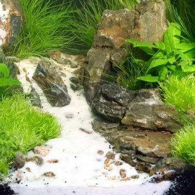 Ejemplo arena acuario plantado sansibar white